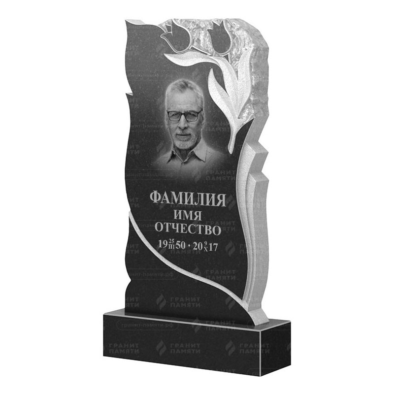 Гранитные памятники в&nbsp;Жигулевске | Гранитный памятник ФГ-223