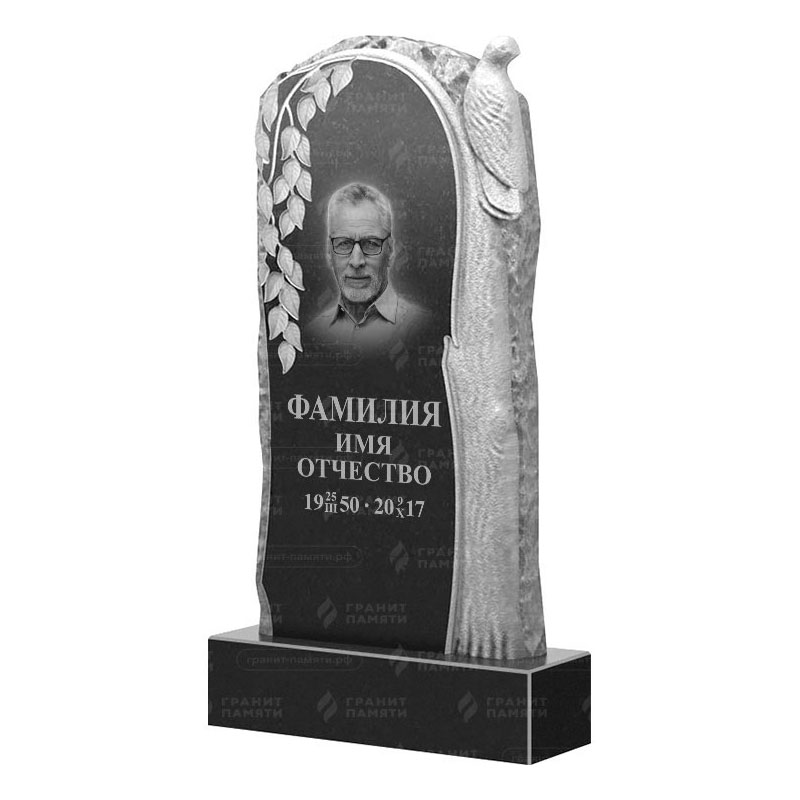 Гранитные памятники в&nbsp;Жигулевске | Гранитный памятник ФГ-206
